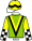Casaque de INVICTUS DRAGON