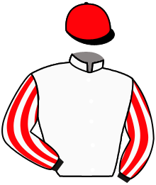 Casaque de CHANT DU LOUP