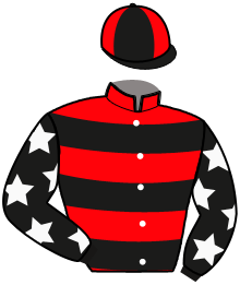 Casaque de L'ELITE D'HOLLOW