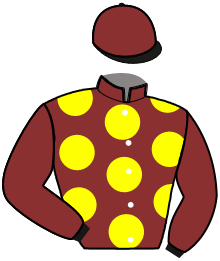 Casaque de REALITY MOM