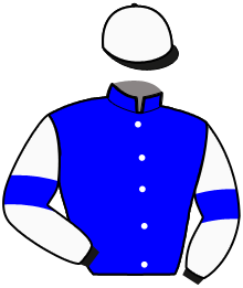 Casaque de HASARD DES VENTES