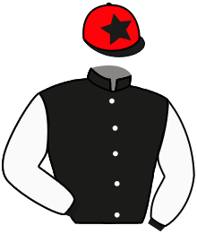 Casaque de MONT ST MICHEL