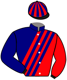 Casaque de READY TO RUMBLE