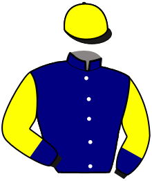 Casaque de IZARA DE VIETTE