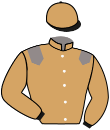 Casaque de INVICTUS AL ASHAI