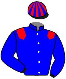 Casaque de DUBAI HONOUR