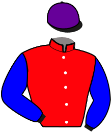 Casaque de STEADY VICTORY