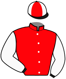 Casaque de MAKITA PRIOR