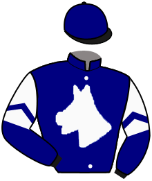 Casaque de VICTORY CALL