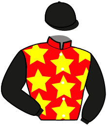 Casaque de KANAGANE NEMO