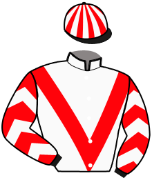 Casaque de LORD ELLINGTON