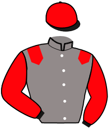 Casaque de MONZON NORMAND