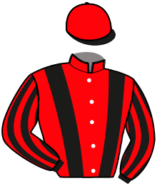 Casaque de LIQUIDATEUR