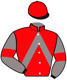 Casaque de LIGNE DROITE