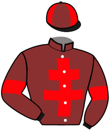 Casaque de HORIZON DE LARRE