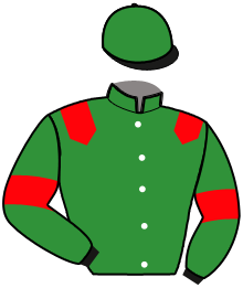 Casaque de GIANT DREAM