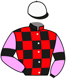 Casaque de THE GALAHAD KID