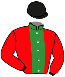 Casaque de LISANDRO DE LOU