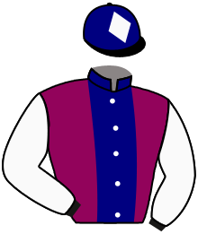 Casaque de VIKING D'AUMONT