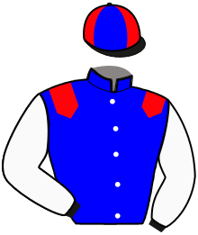 Casaque de JUSTIFY LOVE