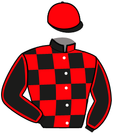 Casaque de NINJA DE CHANLECY