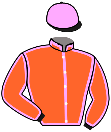 Casaque de OBSTINATION