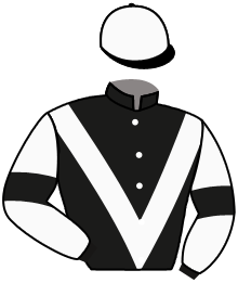 Casaque de STAR ICON