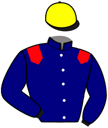 Casaque de I AM DES MOTTES