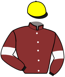 Casaque de MILORD DU CHERISAY