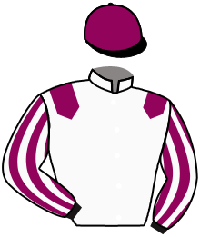 Casaque de HOLY WARRIOR