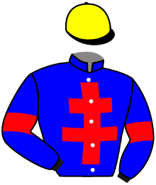 Casaque de IRON BARKS