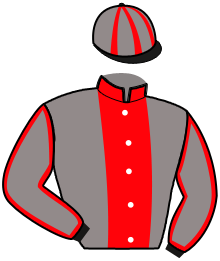 Casaque de KID DES MOLLES