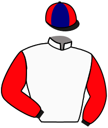 Casaque de VOTRE AMI