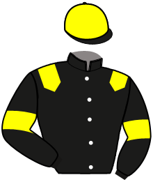 Casaque de IPSON DU VERNAY