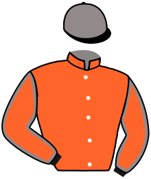 Casaque de IRISH BAR