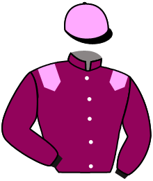 Casaque de PADDOCKWOOD