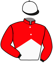 Casaque de IRON ARROW