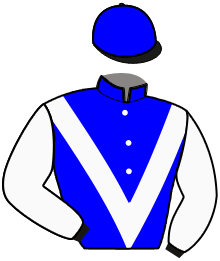 Casaque de JET SOCIETY