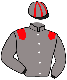 Casaque de HAPPY VENUS