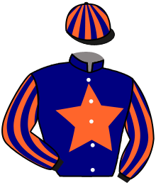 Casaque de VICTORY SALUTE