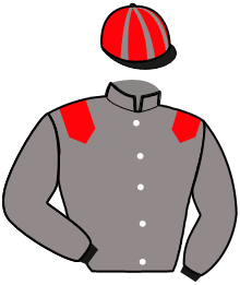 Casaque de JUST BIRD