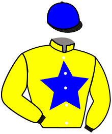 Casaque de ART MARKET