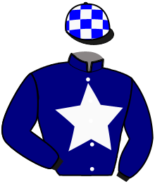 Casaque de ICONE PONT VAUTIER