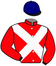 Casaque de BRAVO BAY