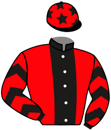 Casaque de DIZAVRIL PELEM