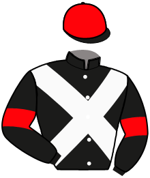 Casaque de GLOBAL FRAGRANCE