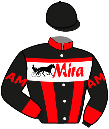 Casaque de MISTER PARKER