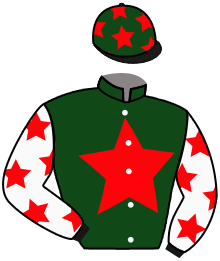 Casaque de MARVELLOUS CITY