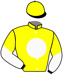 Casaque de CHATEAU YOGHURT