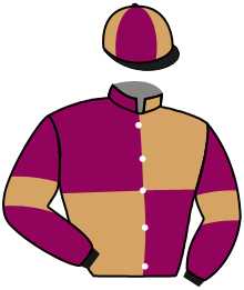 Casaque de LIGHT OF STAR